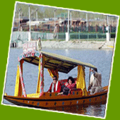 Dal Lake Srinagar